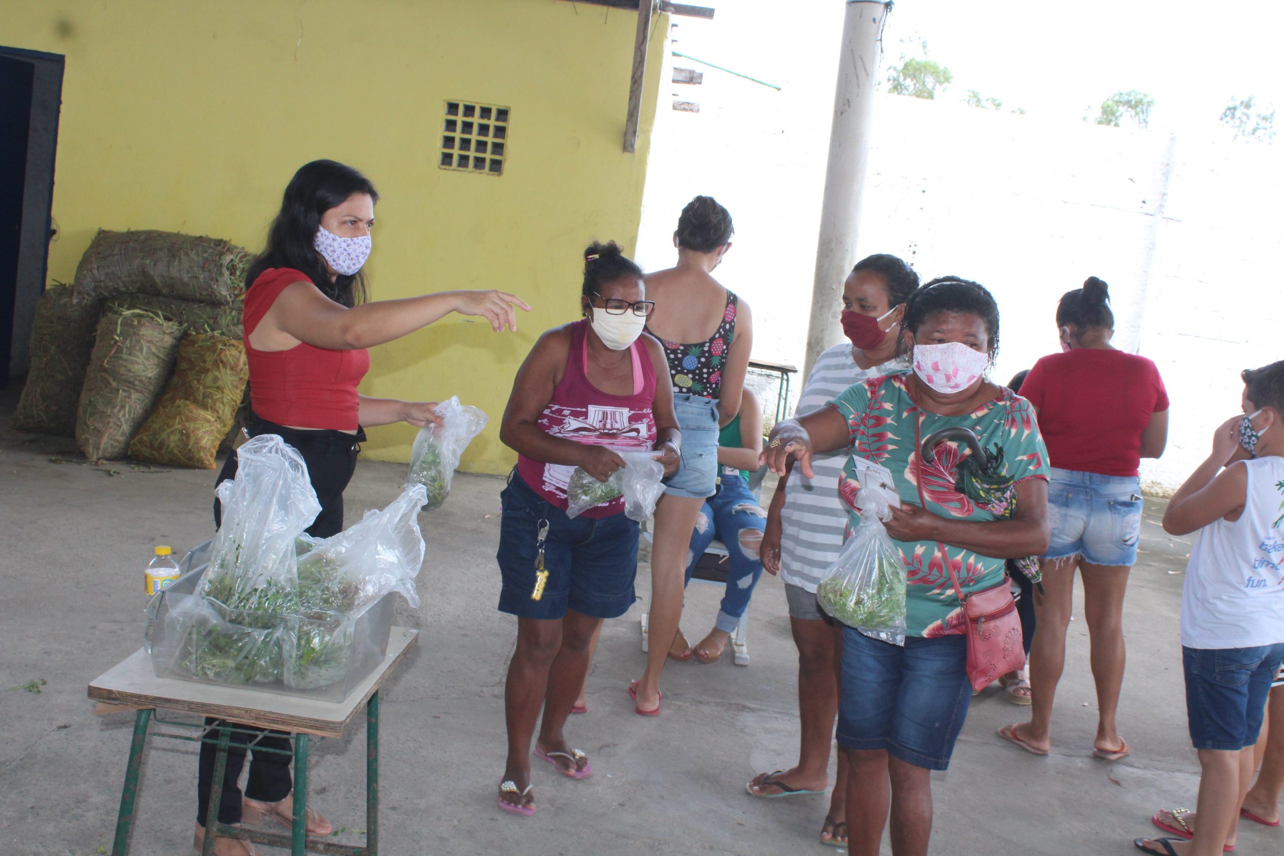 Centro de Referência de Assistência Social – CRAS entrega treze toneladas de produtos através do PAA