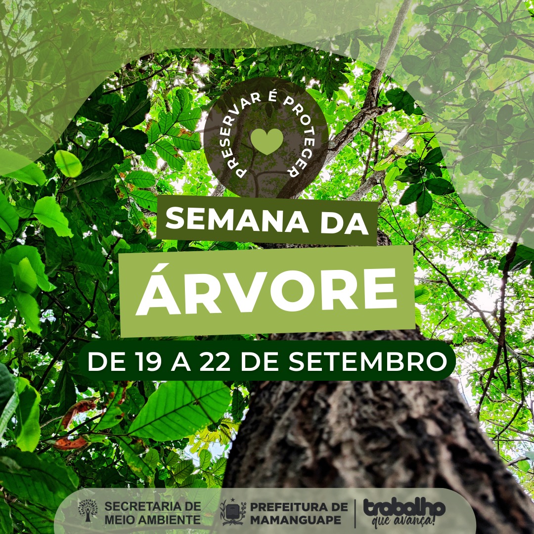 Semana da Árvore – Secretaria de Meio Ambiente promove ações educativas no município