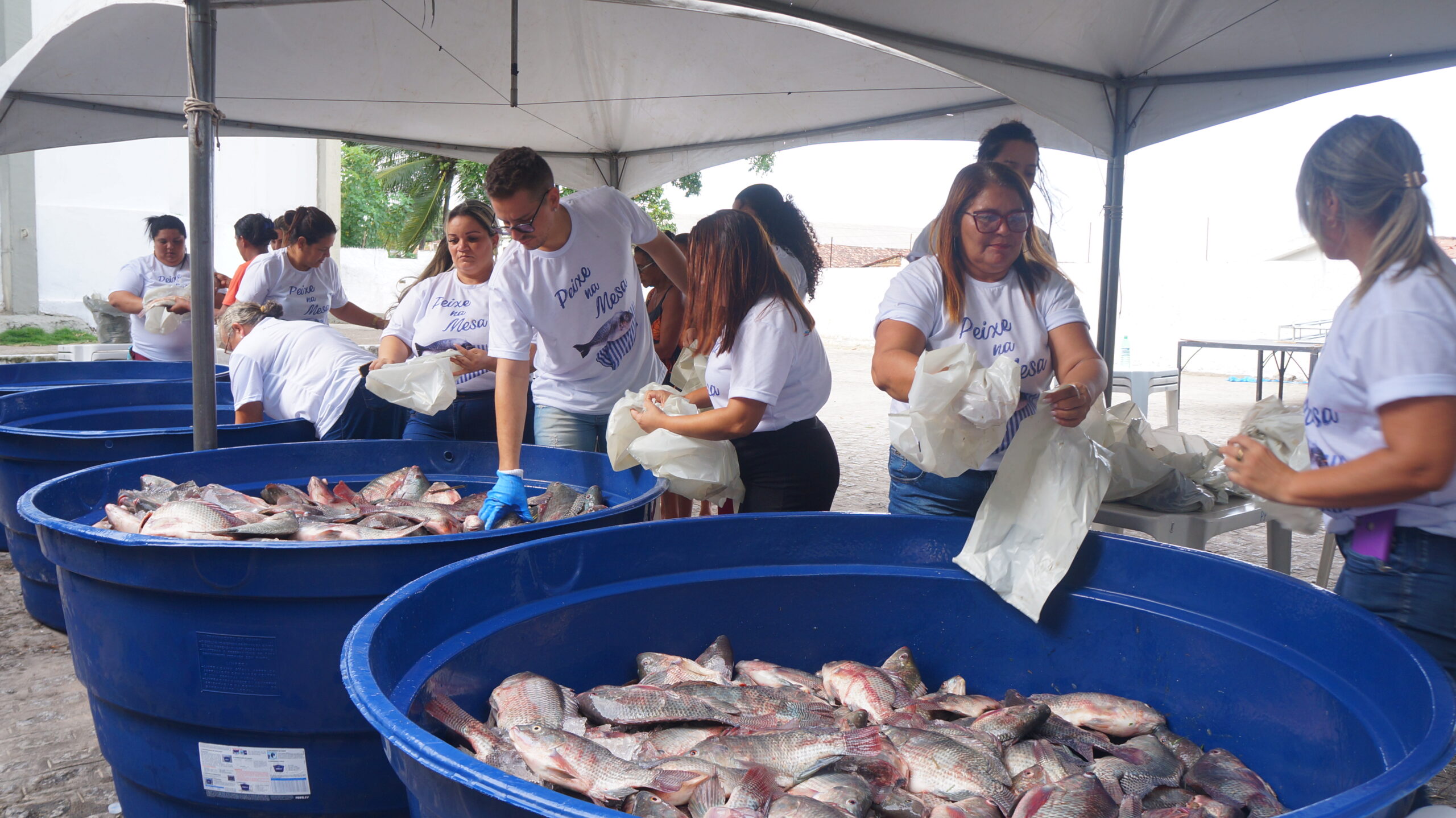 Semana Santa: Prefeitura de Mamanguape entrega 07 toneladas de alimentos para a população