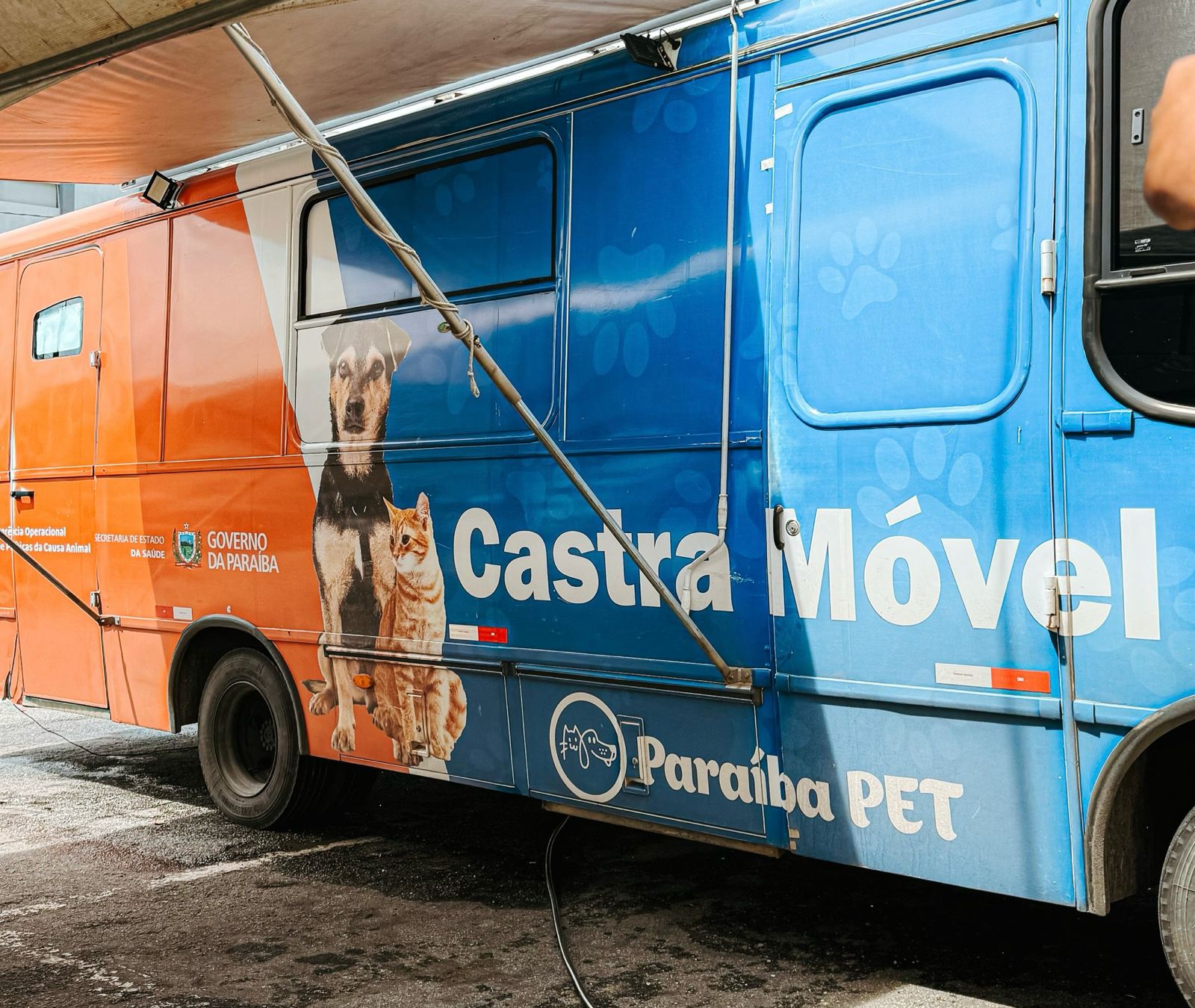 Prefeitura de Mamanguape realiza ação de castração gratuita para animais em parceria com o Governo do Estado