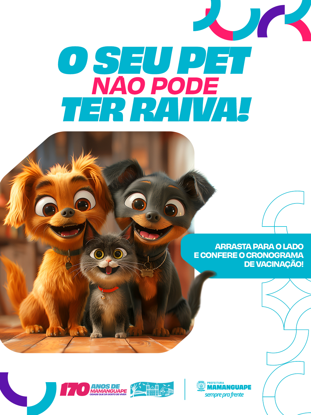 Campanha de vacinação antirrábica garante proteção de cães e gatos em Mamanguape